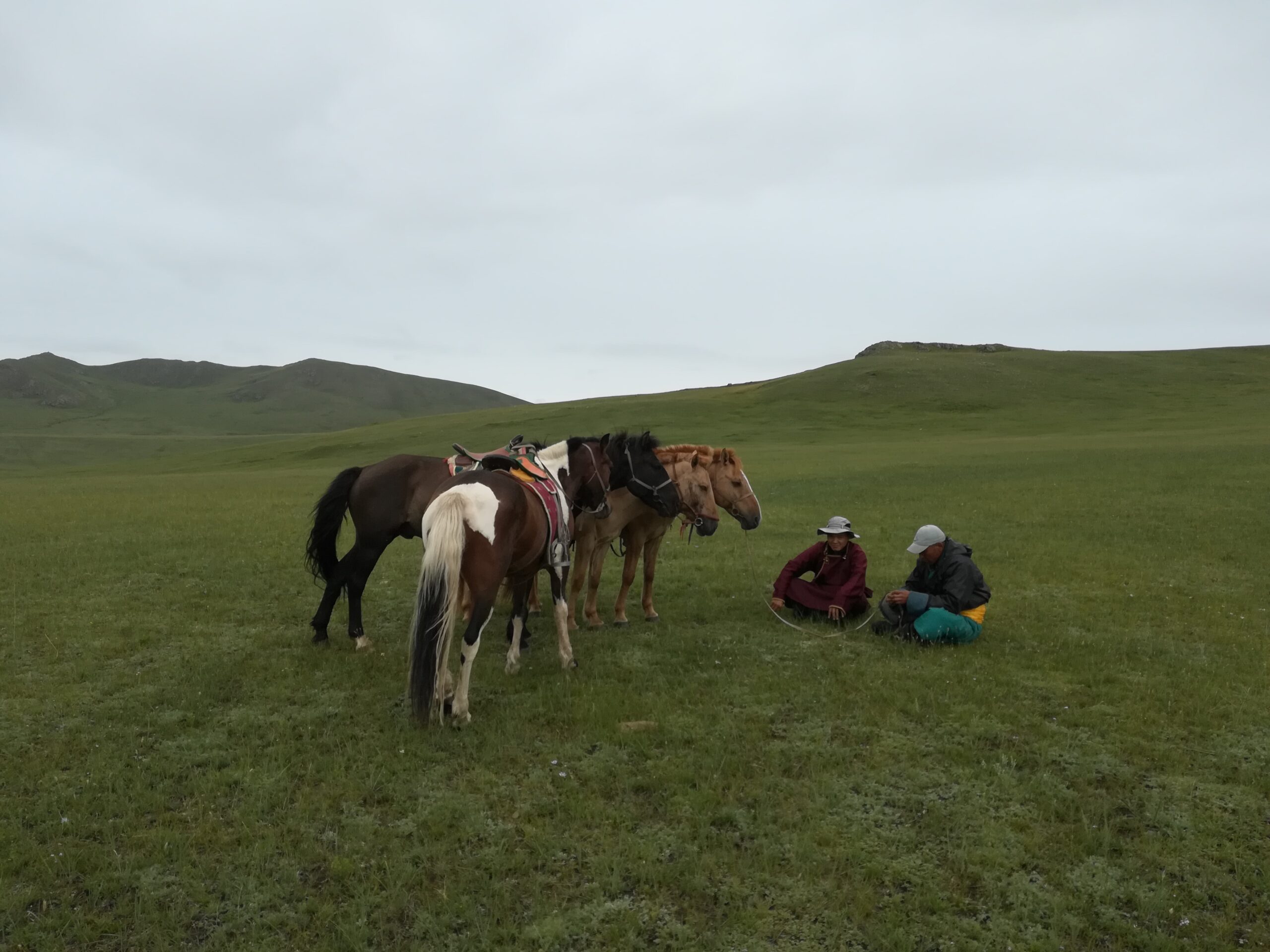 現在1人1000円を徴収している